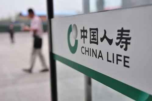 人寿保险最新爆料,揭秘保险理赔内幕与市场趋势