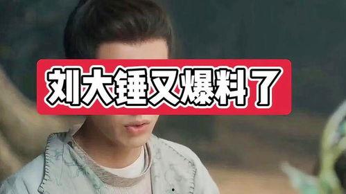 刘大锤最新爆料汇总,揭秘娱乐圈惊天秘密大汇总