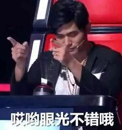 周董最新爆料消息视频大全,揭秘音乐背后的故事与灵感来源