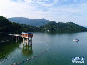 莆田水库爆料事件最新,真相与争议交织，环保与民生冲突再起”