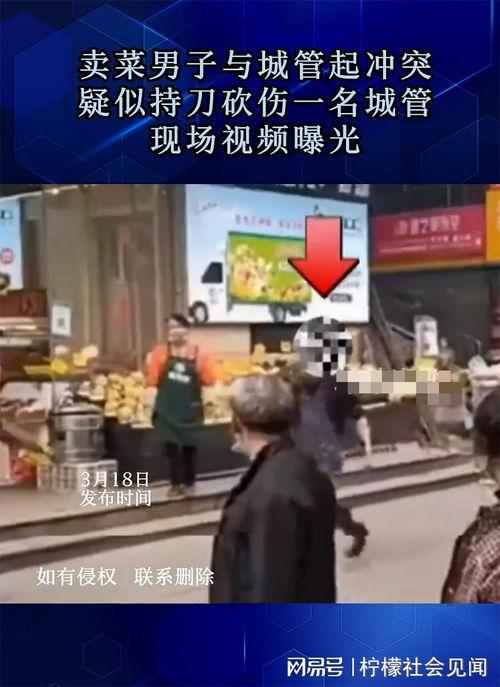 城管爆料视频大全最新,揭秘城市管理背后的故事